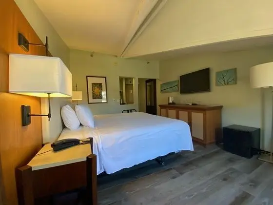 Deluxe Oda, 1 En Büyük (King) Boy Yatak, Balkon