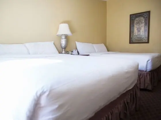 Deluxe Oda, 2 Büyük (Queen) Boy Yatak, Balkon