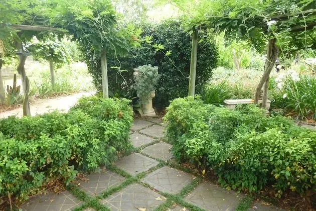 Standard Oda, Sigara İçilmez, Balkon (Succulent Suite Room only)