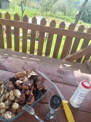 Ev, 2 Yatak Odası, Şömine