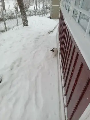 Ev, 2 Yatak Odası, Şömine