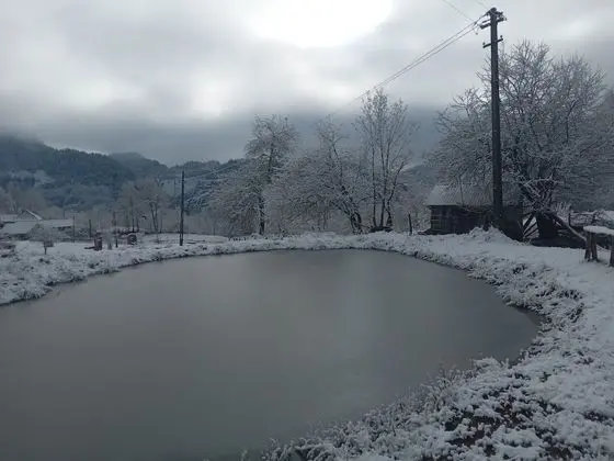 Ev, 2 Yatak Odası, Şömine