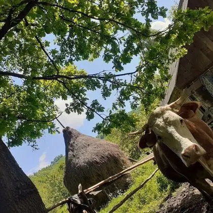 Ev, 2 Yatak Odası, Şömine