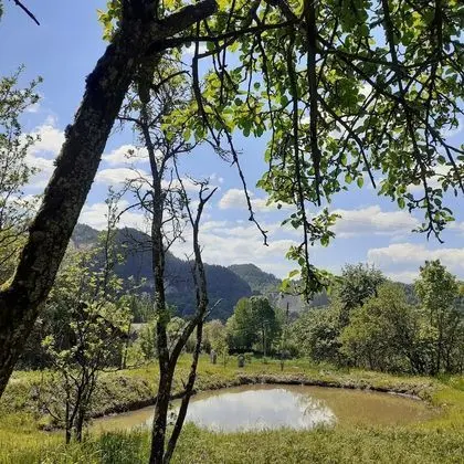 Ev, 2 Yatak Odası, Şömine