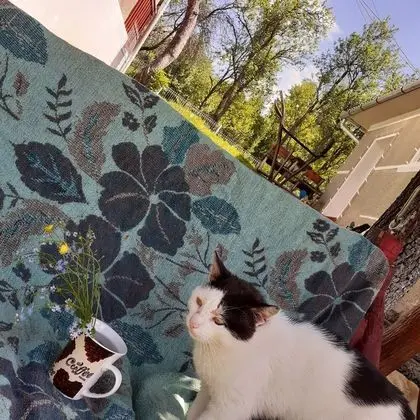 Ev, 2 Yatak Odası, Şömine