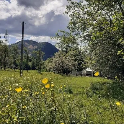 Ev, 2 Yatak Odası, Şömine
