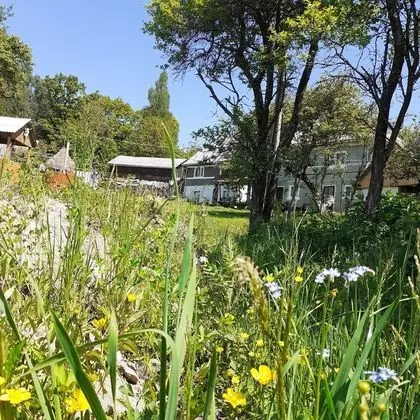 Ev, 2 Yatak Odası, Şömine