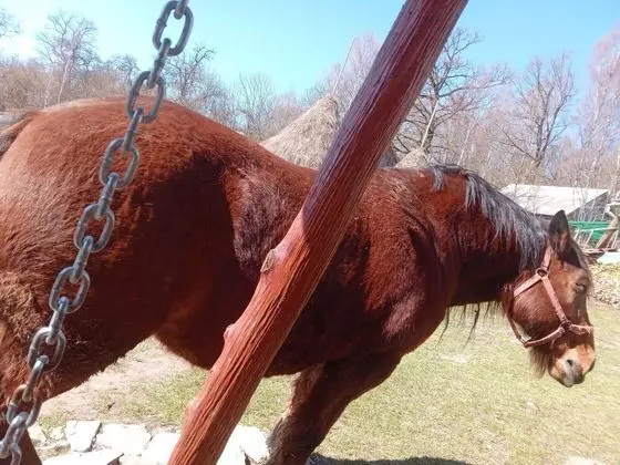 Ev, 2 Yatak Odası, Şömine