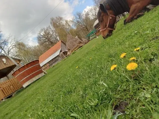 Ev, 2 Yatak Odası, Şömine