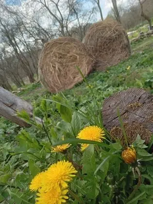 Ev, 2 Yatak Odası, Şömine