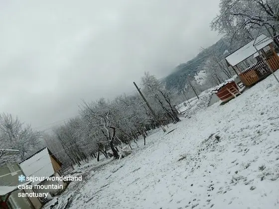 Ev, 2 Yatak Odası, Şömine