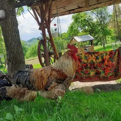 Ev, 2 Yatak Odası, Şömine