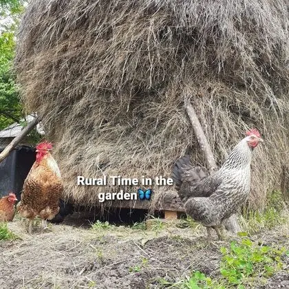 Ev, 2 Yatak Odası, Şömine