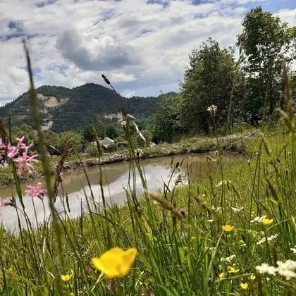 Ev, 2 Yatak Odası, Şömine