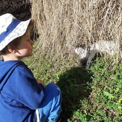 Ev, 2 Yatak Odası, Şömine