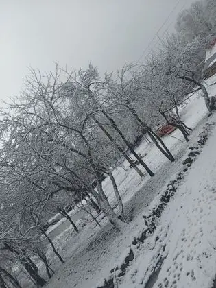 Ev, 2 Yatak Odası, Şömine