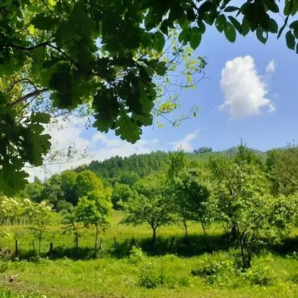 Ev, 2 Yatak Odası, Şömine