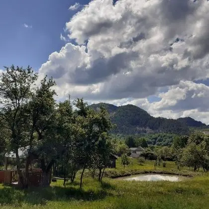 Ev, 2 Yatak Odası, Şömine