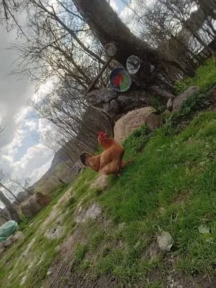 Ev, 2 Yatak Odası, Şömine