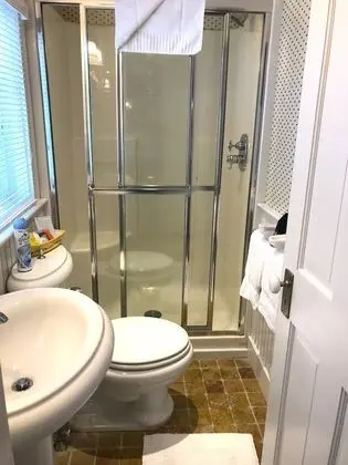Süit