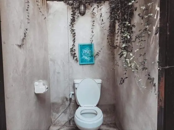 Basic Çadır