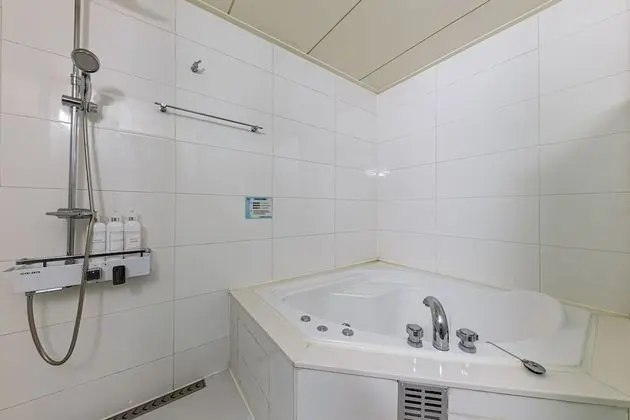 Standard Tek Büyük Yataklı Oda, 1 Çift Kişilik Yatak