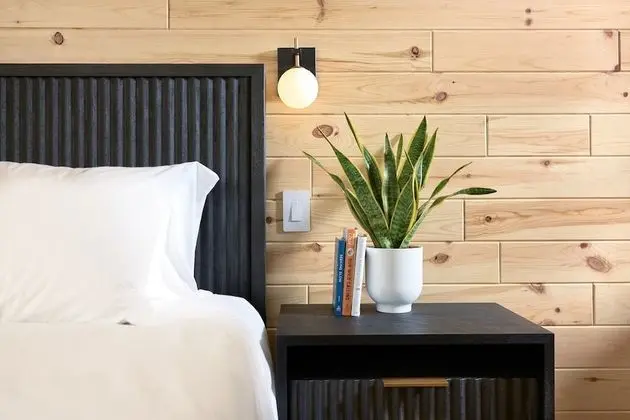 Deluxe Stüdyo Süit