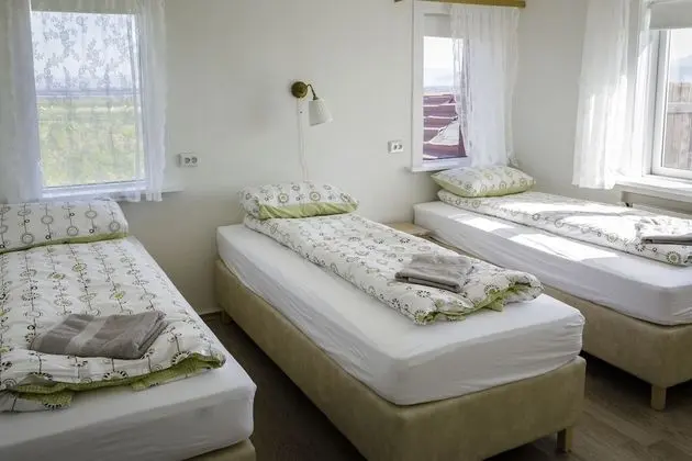 Basic Üç Kişilik Oda, 3 Tek Kişilik Yatak, Dağ Manzaralı