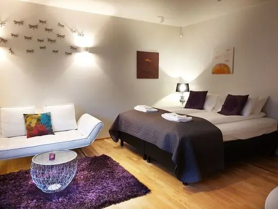 Studio Apartment - Bergstadastraeti 12