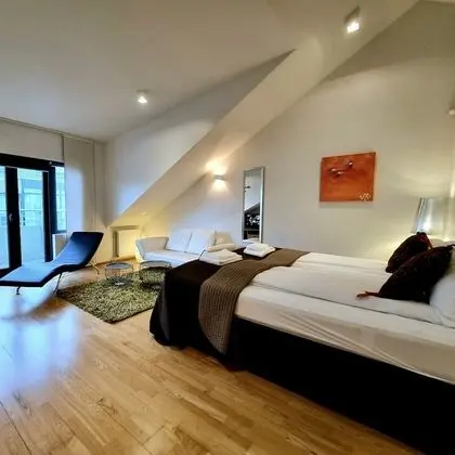 Studio Apartment - Bergstadastraeti 12