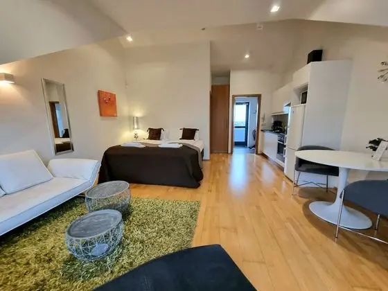 Studio Apartment - Bergstadastraeti 12