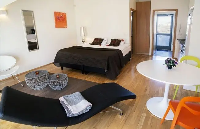 Studio Apartment - Bergstadastraeti 12