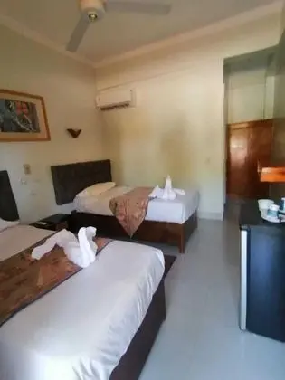 Deluxe Tek Kişilik Oda, Havuz Manzaralı