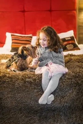 Executive Apart Daire