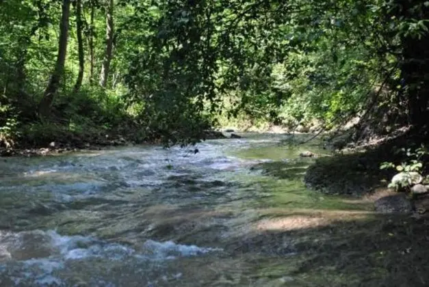 Apart Daire, Birden Çok Yatak