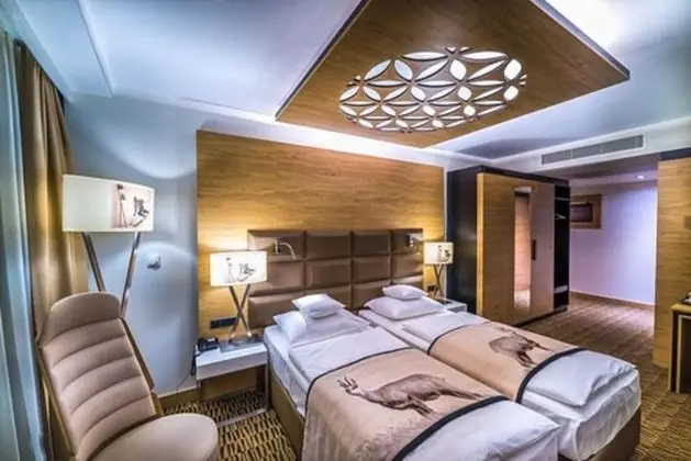 Süit, Dağ Manzaralı