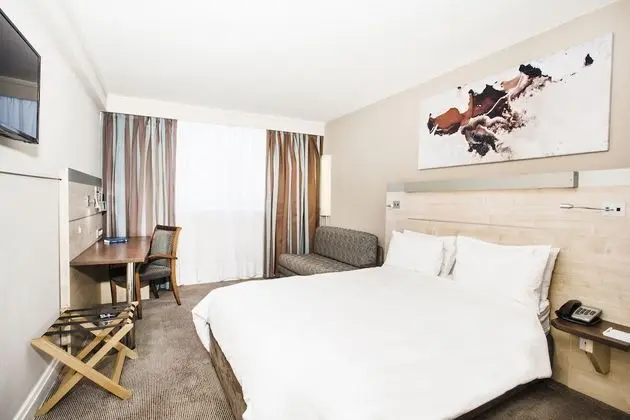 Tek Büyük Yataklı Oda (Smoking -Double Bed and Sleeper couch)