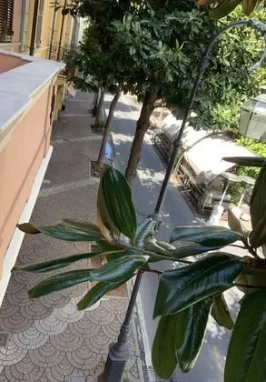Luxury Üç Kişilik Oda