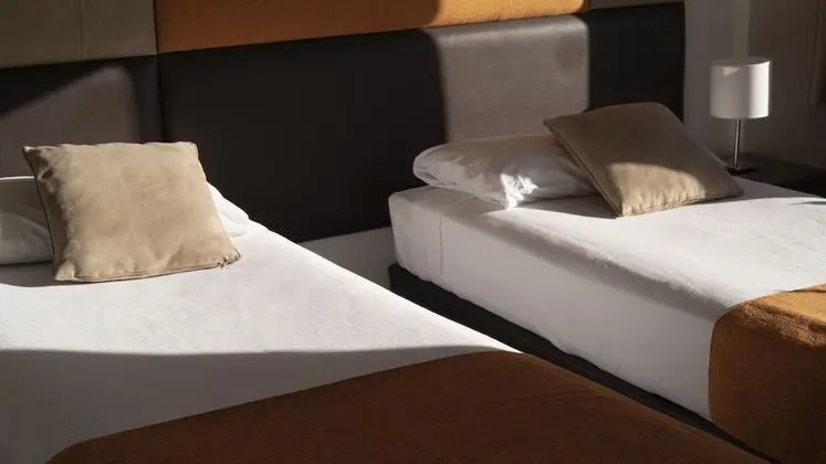 Deluxe Oda, 2 Tek Kişilik Yatak, Göl Manzaralı