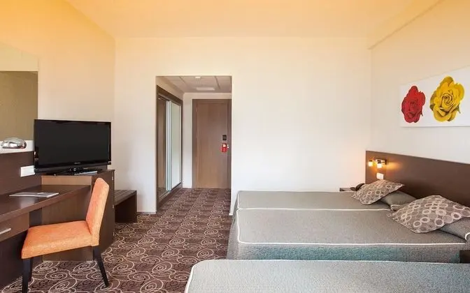 Standard Oda, Teras, Şehir Manzaralı (3 Adults)