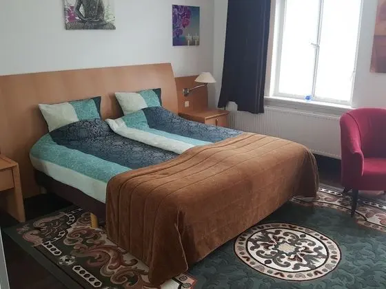 Deluxe Tek Büyük Yataklı Oda (shared bathrooms)