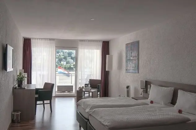 Superior Tek Büyük Yataklı Oda (Rhine River view, terrace)