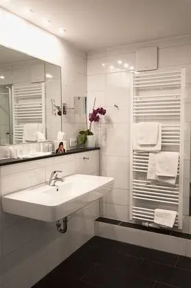 Superior Tek Büyük Yataklı Oda (Rhine River view, terrace)