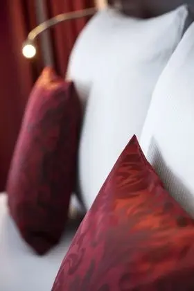 Comfort Tek Büyük Yataklı Oda, Nehir Manzaralı