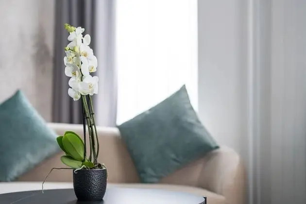 Süit, Nehir Manzaralı