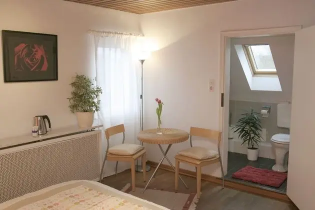 Classic Tek Büyük Yataklı Oda, Banyolu/Duşlu