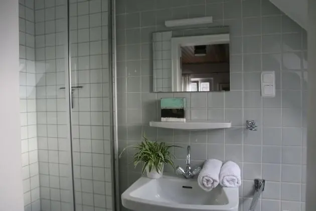 Classic Tek Büyük Yataklı Oda, Banyolu/Duşlu