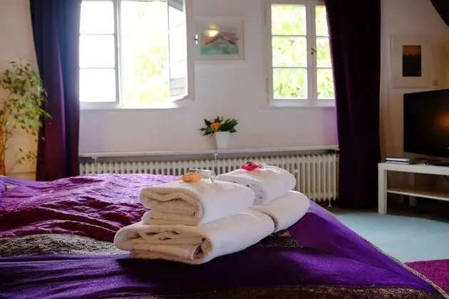 Romantic Tek Büyük Yataklı Oda, Banyolu/Duşlu