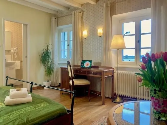 Tek Büyük Yataklı Oda, Banyolu/Duşlu, Nehir Manzaralı