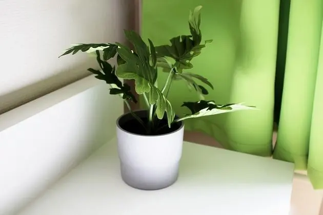 Basic Tek Büyük Yataklı Oda